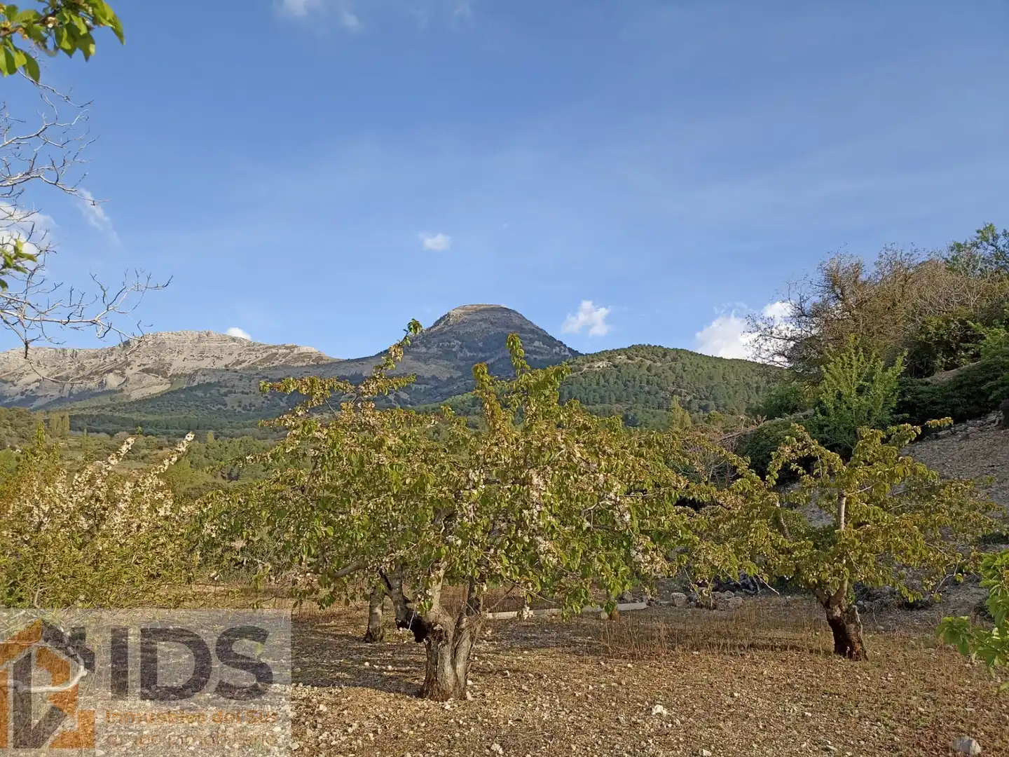 Casa o chalet en venta en Albanchez de Mágina con Jardín privado y Piscina
