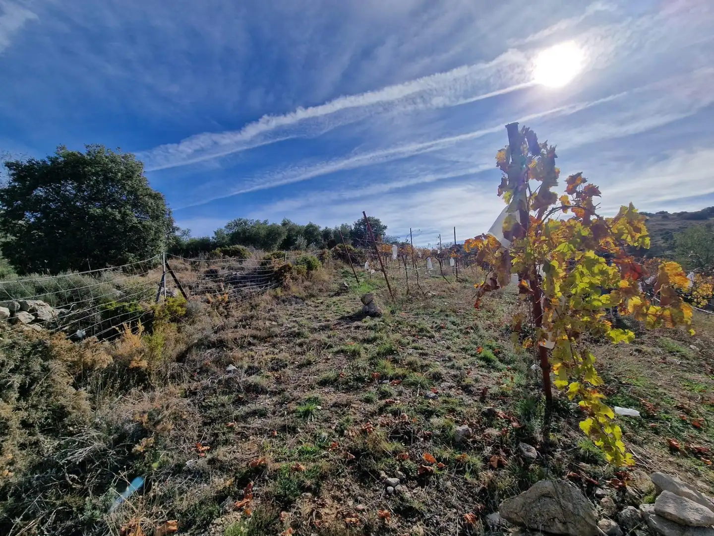 Maison rustique avec jardin à vendre à Cogollos de la Vega, imagen 56