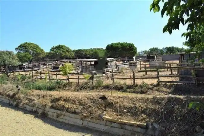 Terrenos y solares en venta en Mas Mora - Sant Daniel, imagen 47