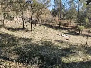 Residential land for sale in Avinguda Joan Miró 89, imagen 10