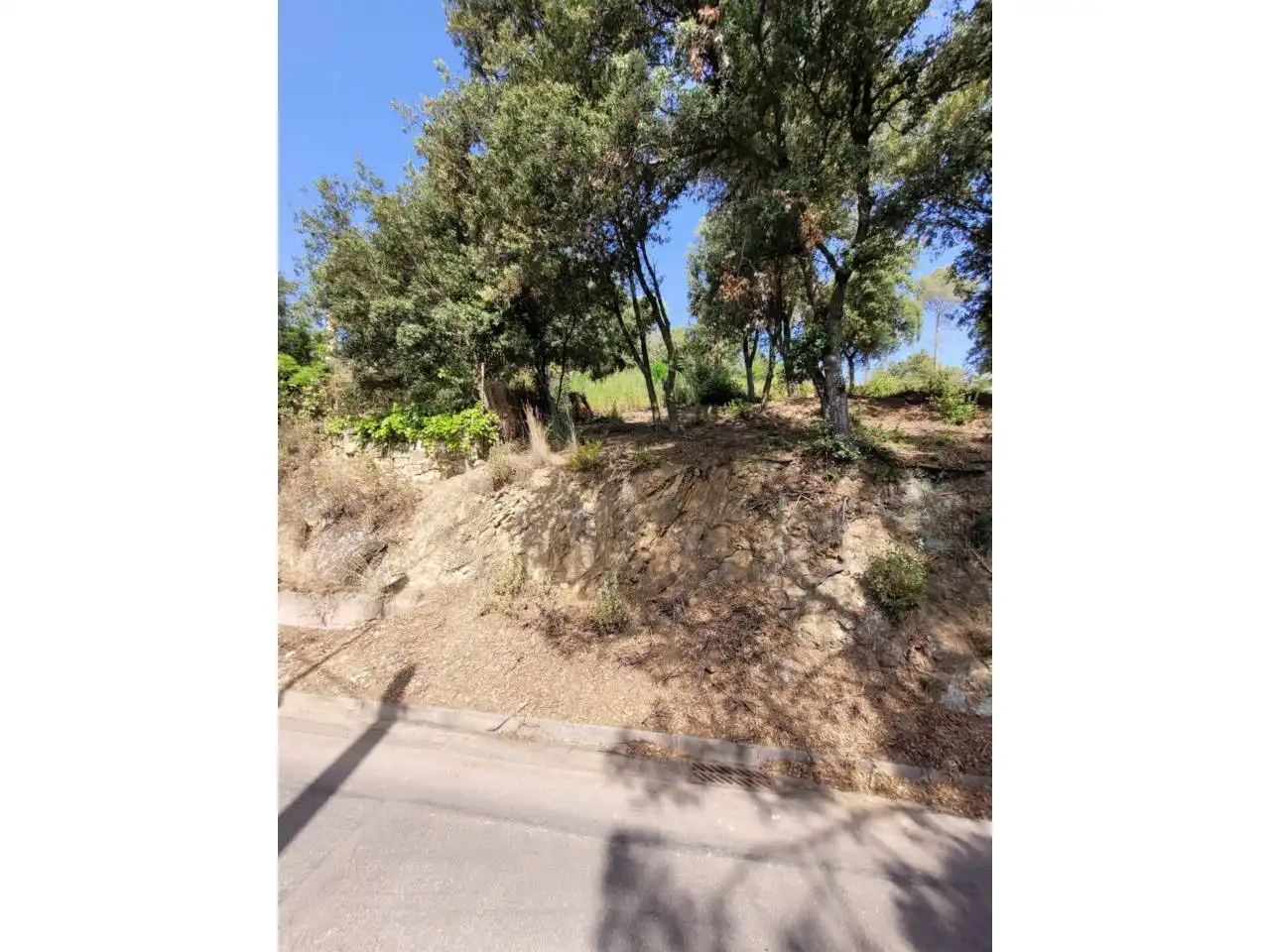 Terreny rústic en venda a El Racó - Sant Feliu del Racó, imagen 12