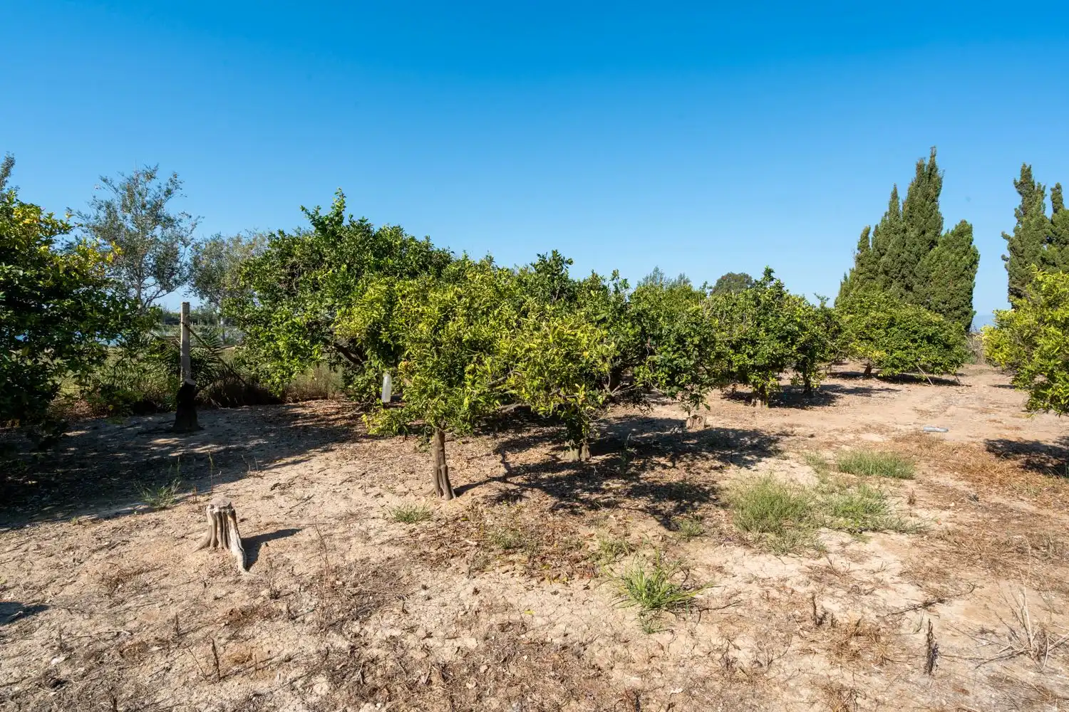 Rural land for sale in Deltebre, imagen 10