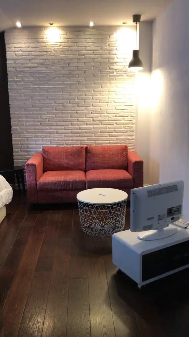 Sala de estar de Estudio de alquiler en Madrid con Aire acondicionado, Calefacción y Amueblado