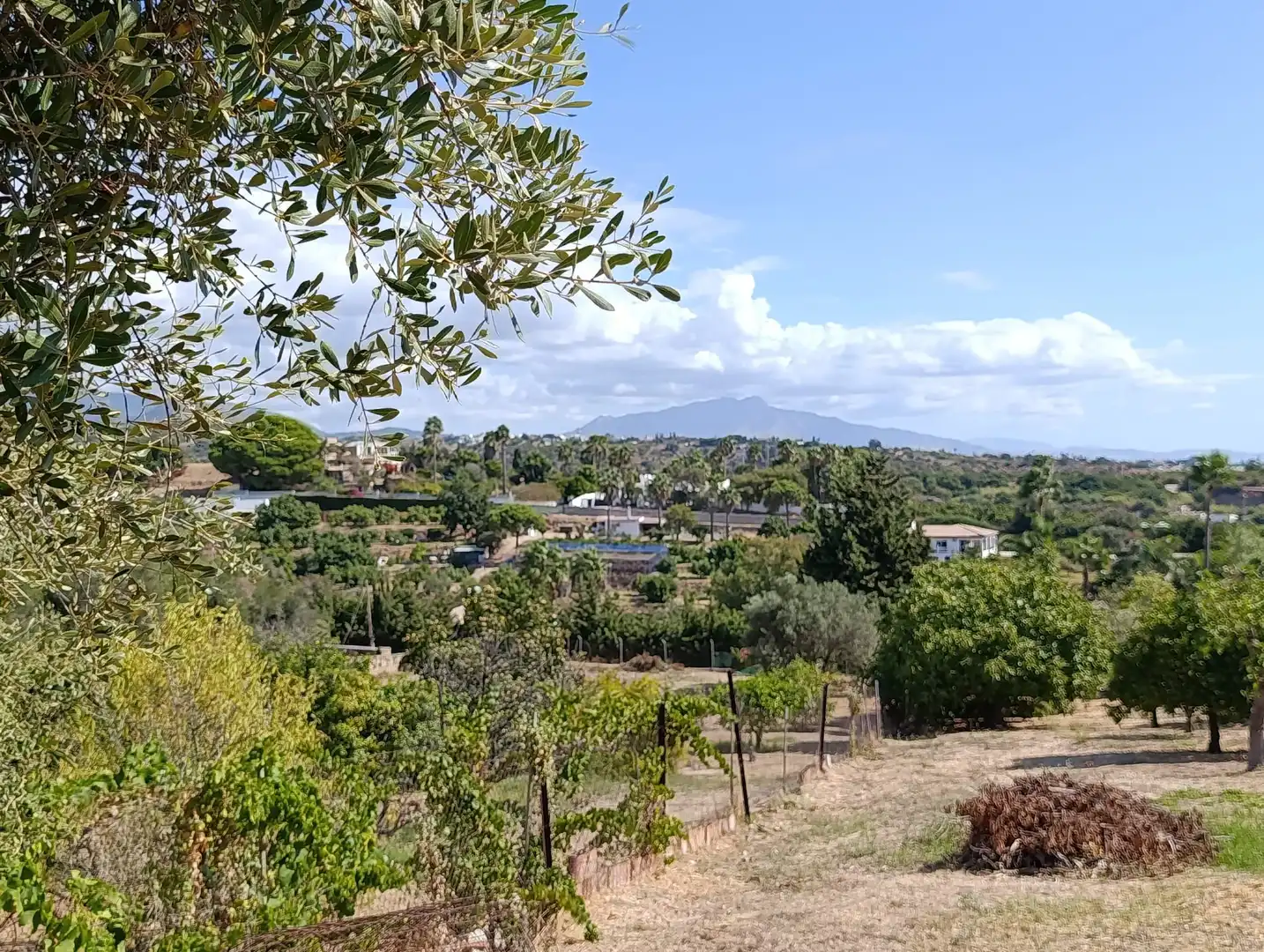 Maison avec jardin à vendre à Camino La Alberdina, imagen 19