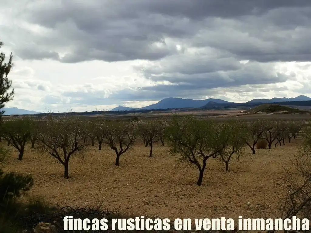 Rustikales Grundstück zum Verkauf in Cieza, imagen 4