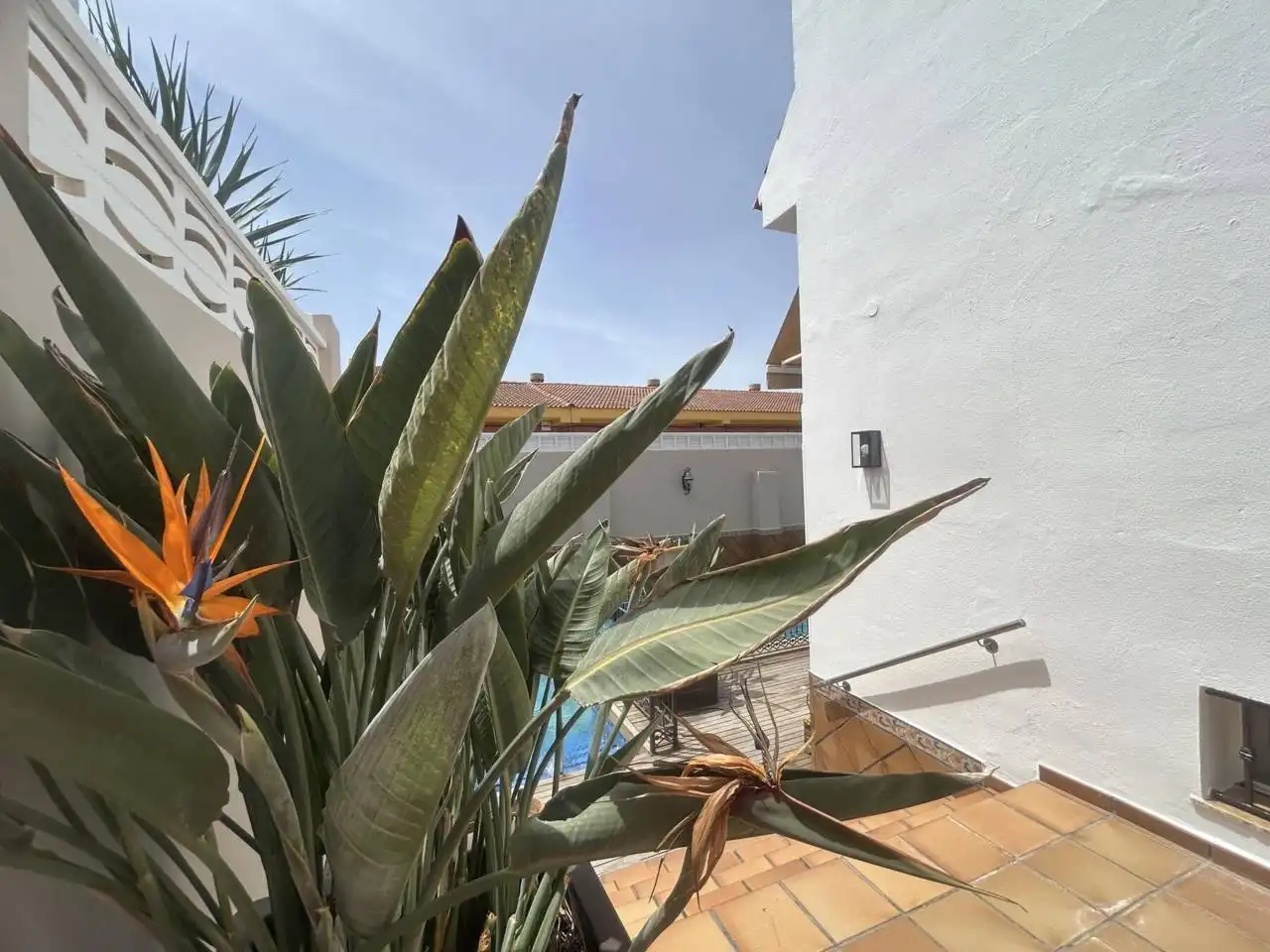 Exterior view of Houses for sale in Roquetas de Mar  with Air Conditioner, Private garden and Terrace