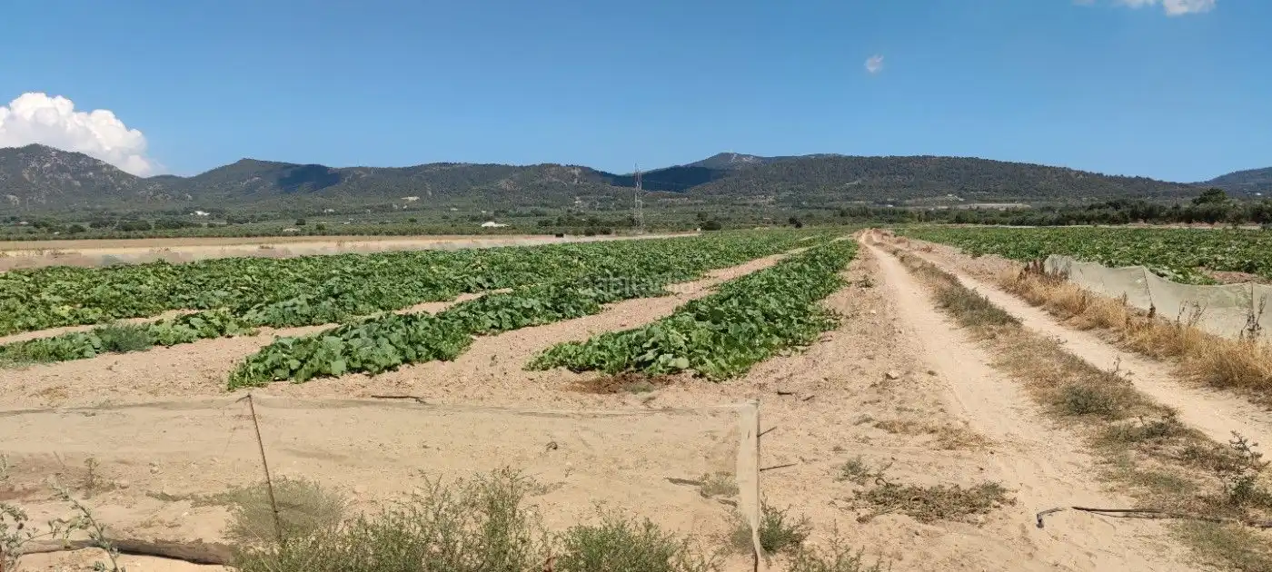 Residential land for sale in Calle Marco 10, imagen 3