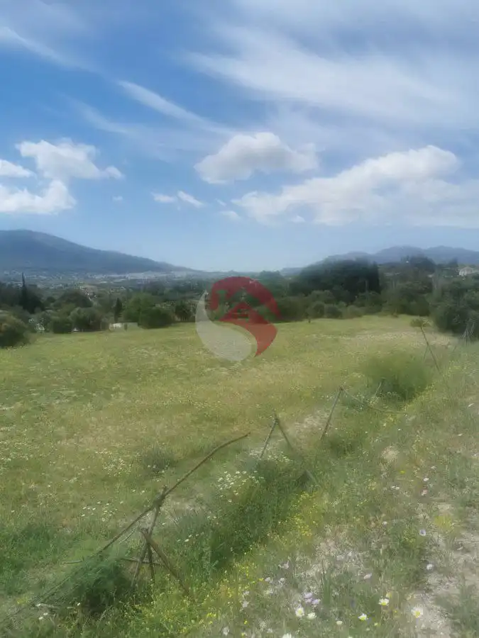 Terreni e lotti in vendita a Centro, imagen 8