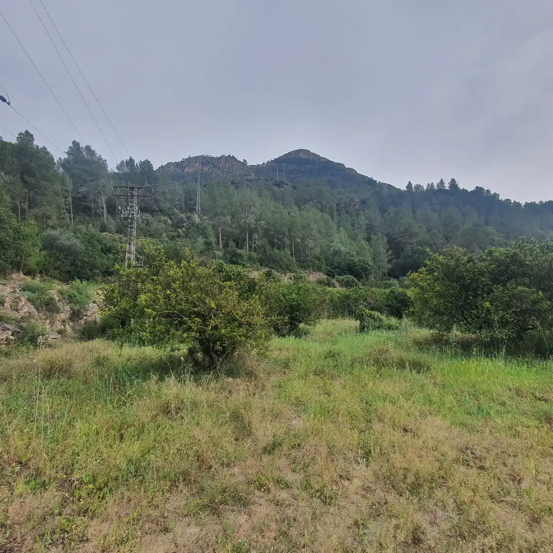 Terreno rústico en venta en Benifallet, imagen 6