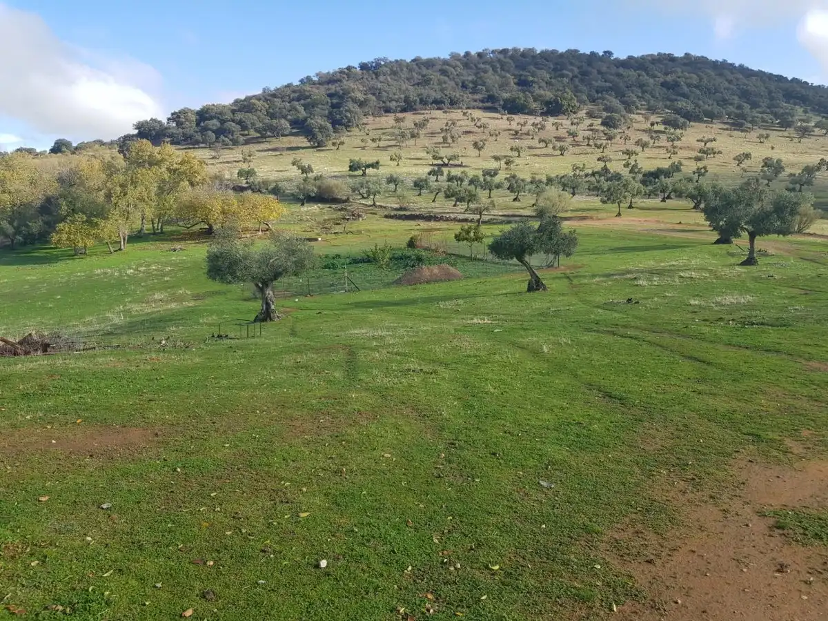 Country house zum Verkauf in Villanueva del Rey mit Privatgarten und Abstellraum
