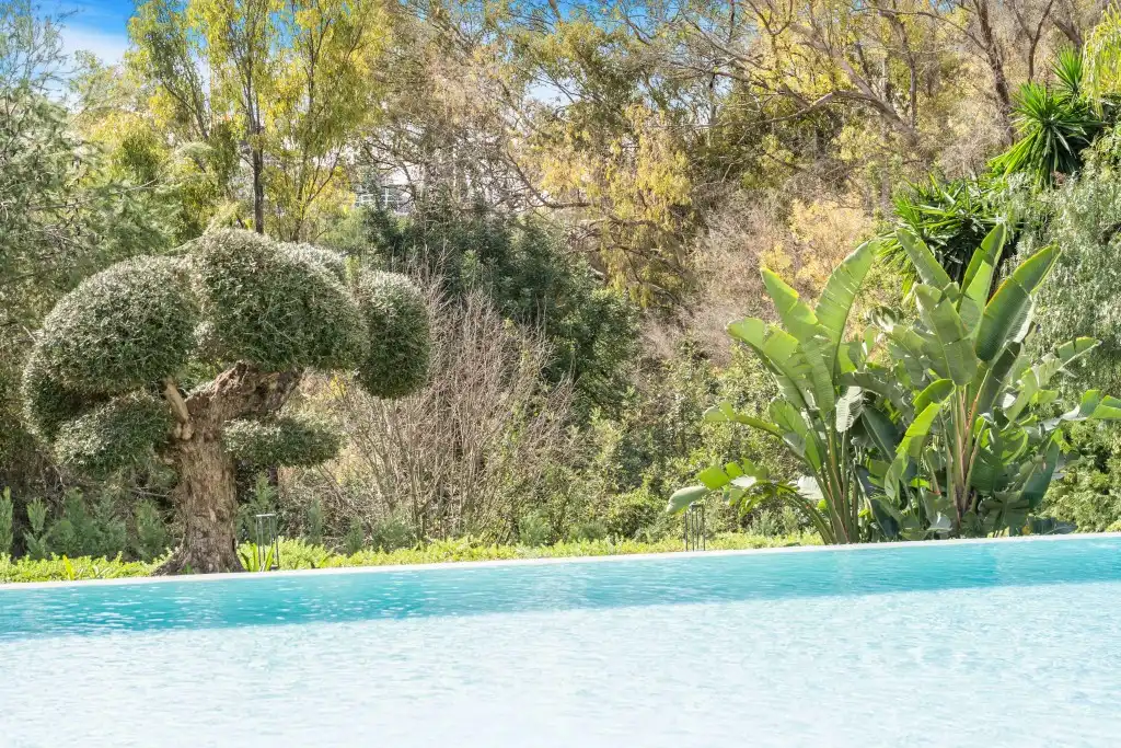 Xalet amb piscina en venda a Milla de Oro, imagen 14