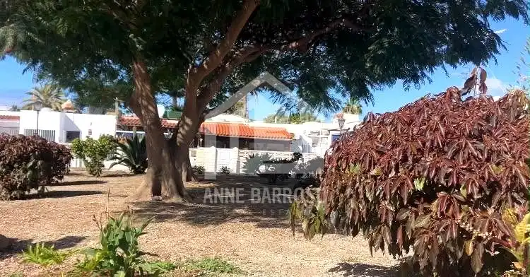 Flat for rent in Costa del Silencio, Costa del Silencio