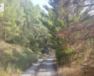 Land for sale in Montequinto