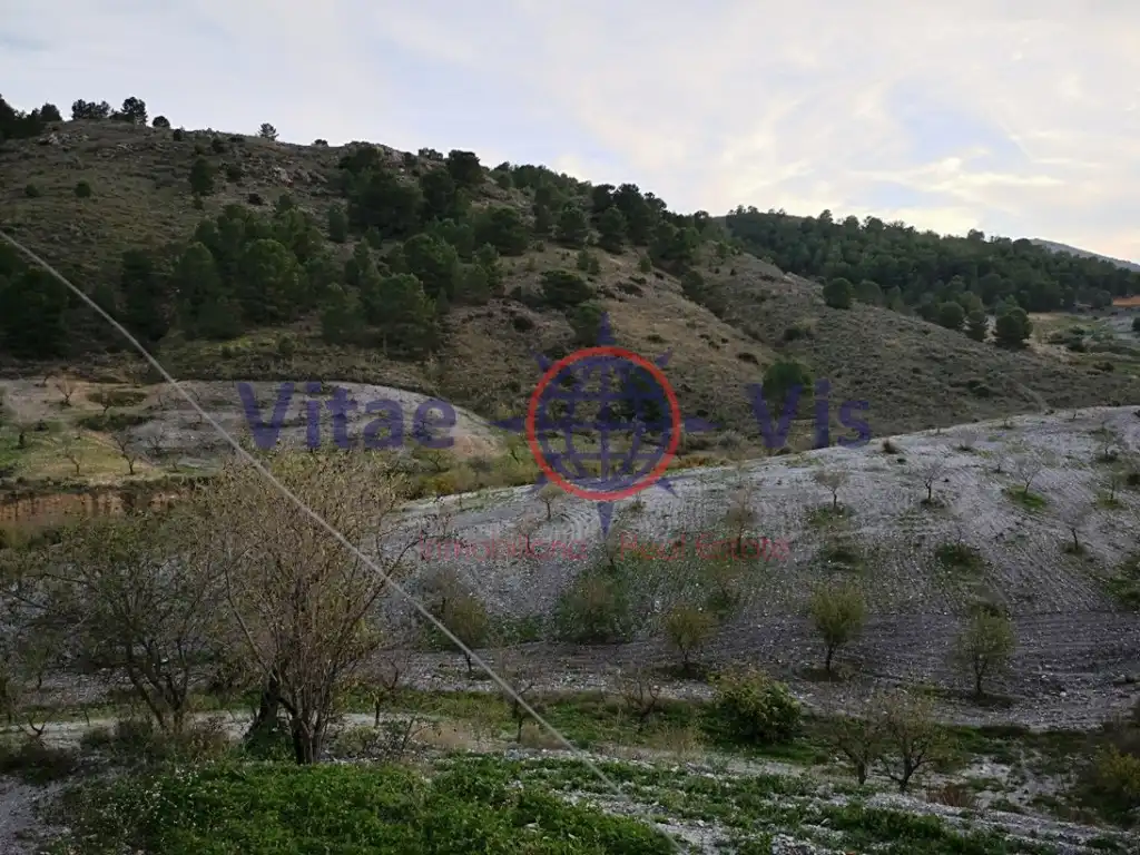 Casa amb piscina en venda a Poligono 202 Paraje 3399 La Solana, imagen 18