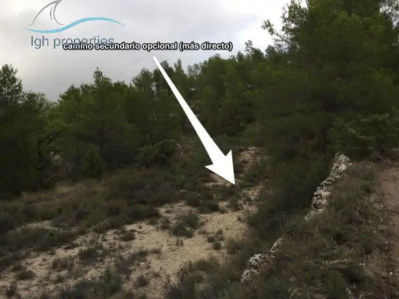 Finca rústica en venta en Partida garrachico, Torremanzanas / La Torre de les Maçanes