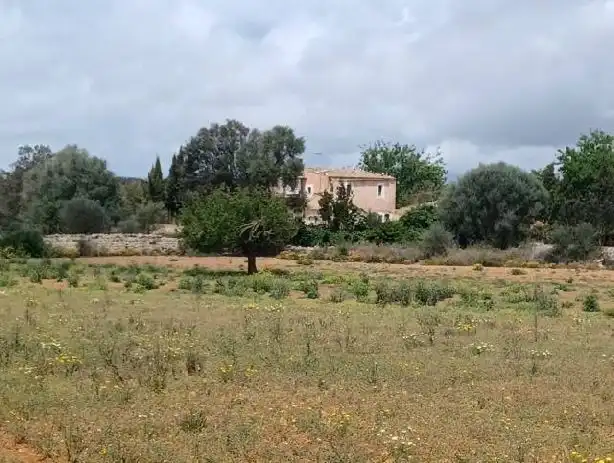 Rural land for sale in Felanitx Poble