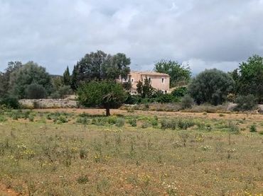 Rural land for sale in Felanitx Poble