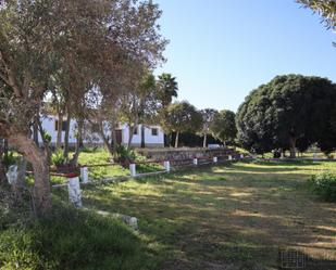 Jardí de Finca rústica en venda en Arcos de la Frontera amb Traster