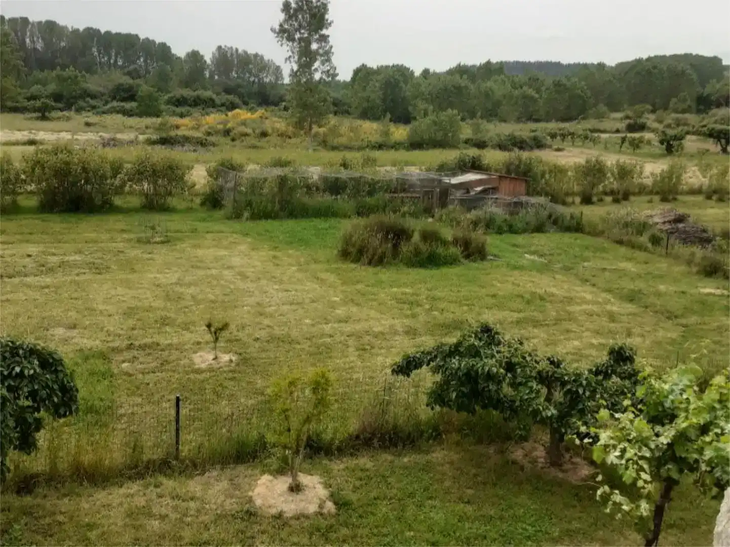 Casa o chalet en venta en Arganza con Jardín privado, Trastero y Piscina