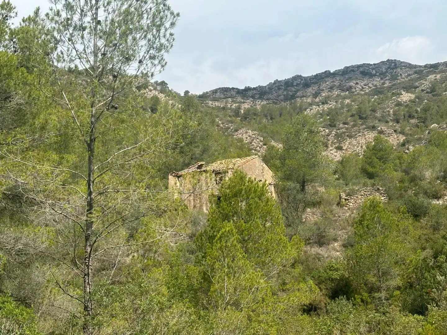 Terreno en venta en Tivissa