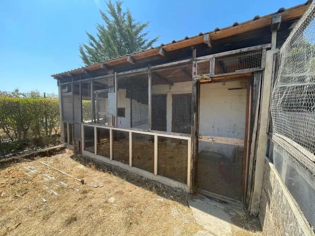 Vista exterior de Terreno en venta en Pueyo / Puiu