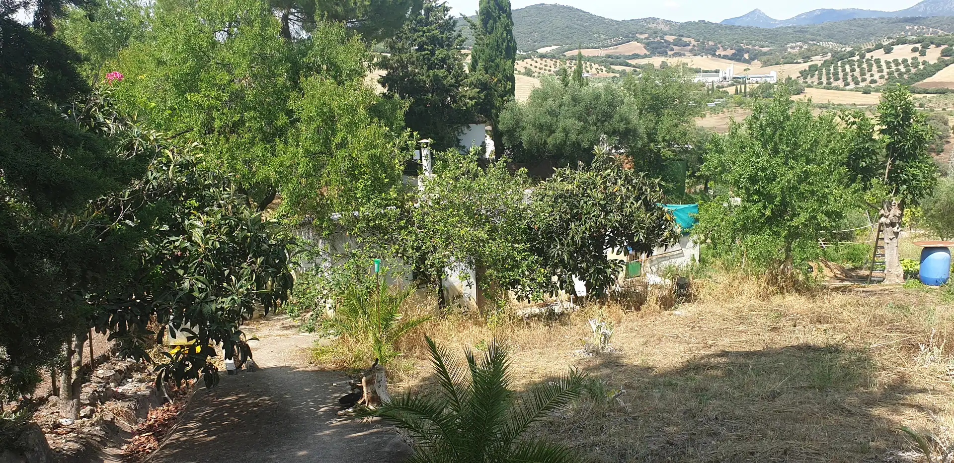 Villa in vendita a Prado del Rey, imagen 7