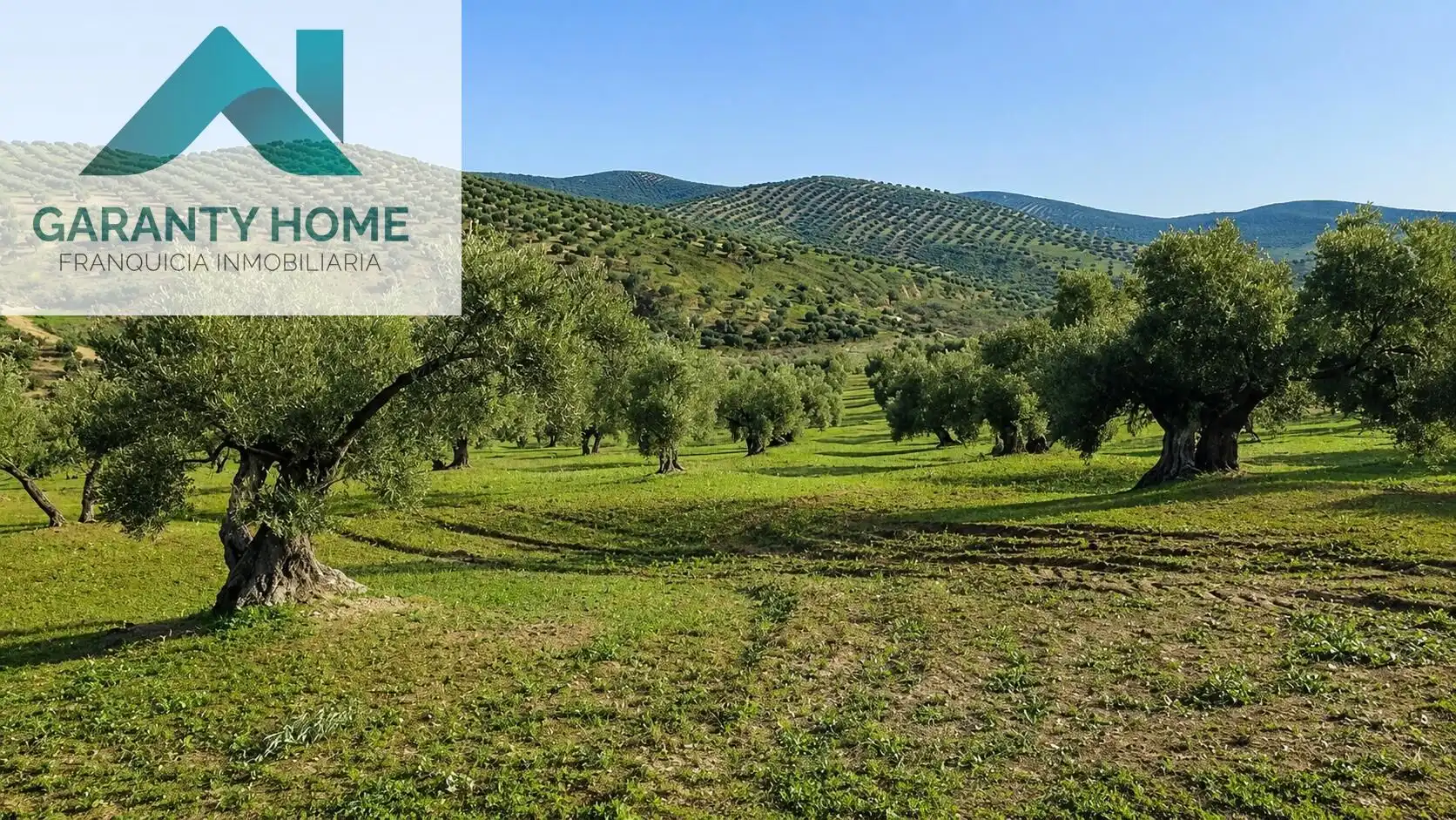 Terreni e lotti in vendita a Torredonjimeno