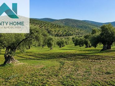 Terreno rústico en venta en Torredonjimeno