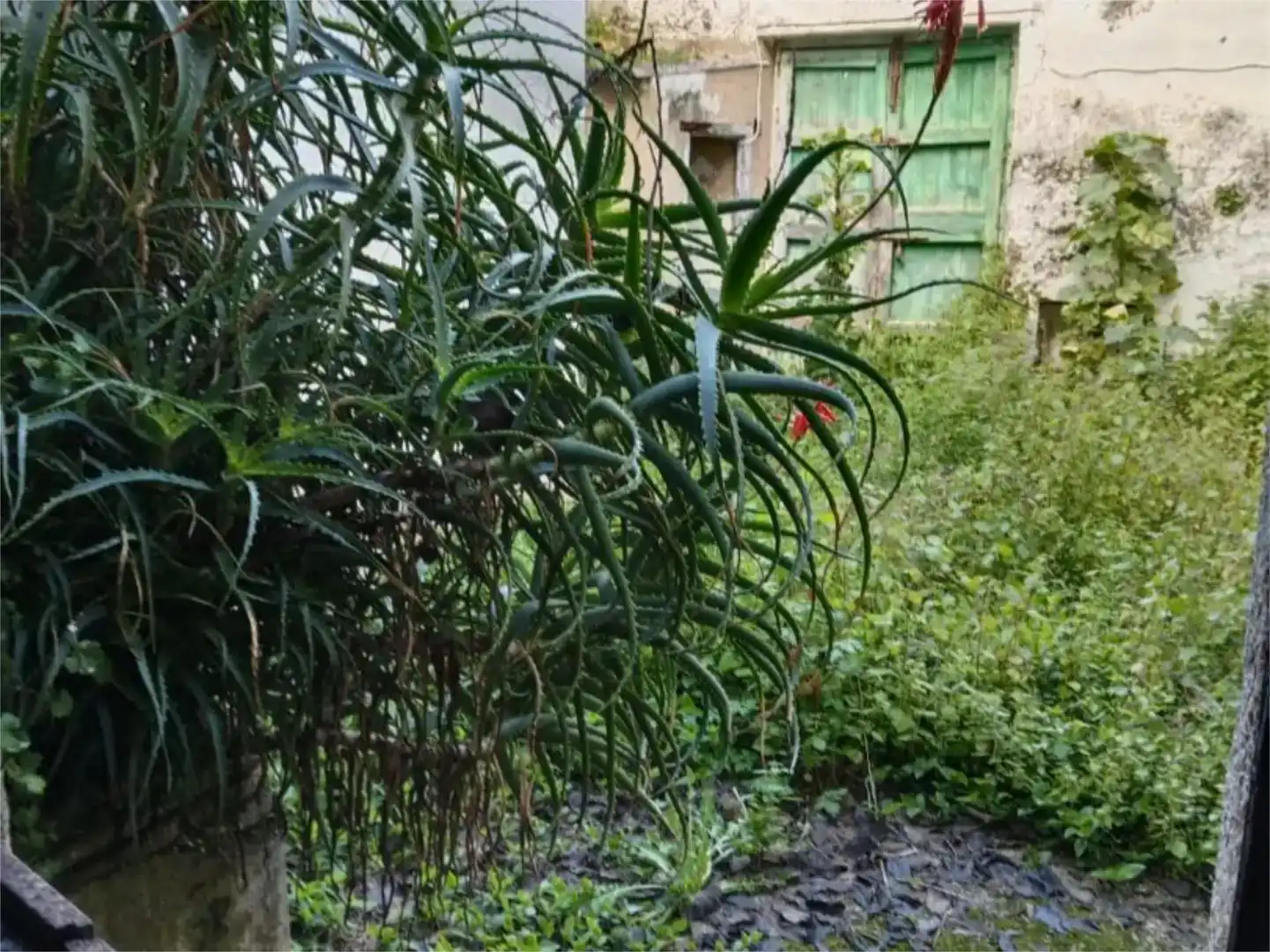 Jardí de Pis en venda en Malpartida de Cáceres amb Jardí privat i Traster