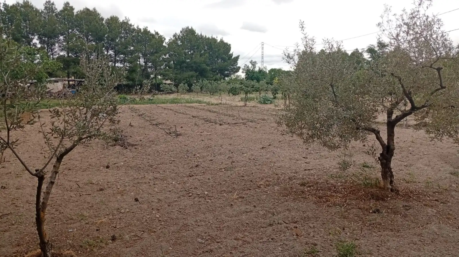 Xalet amb piscina en venda a Pedanías - Extrarradio, imagen 23
