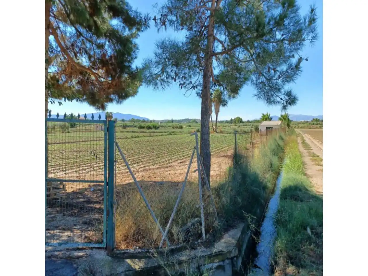 Terreny rústic en venda a Ribera de Molina - Torrealta