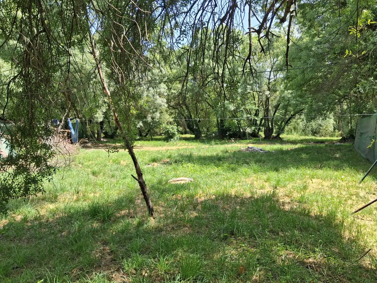 Rural land for sale in Calle del Concejo, imagen 18