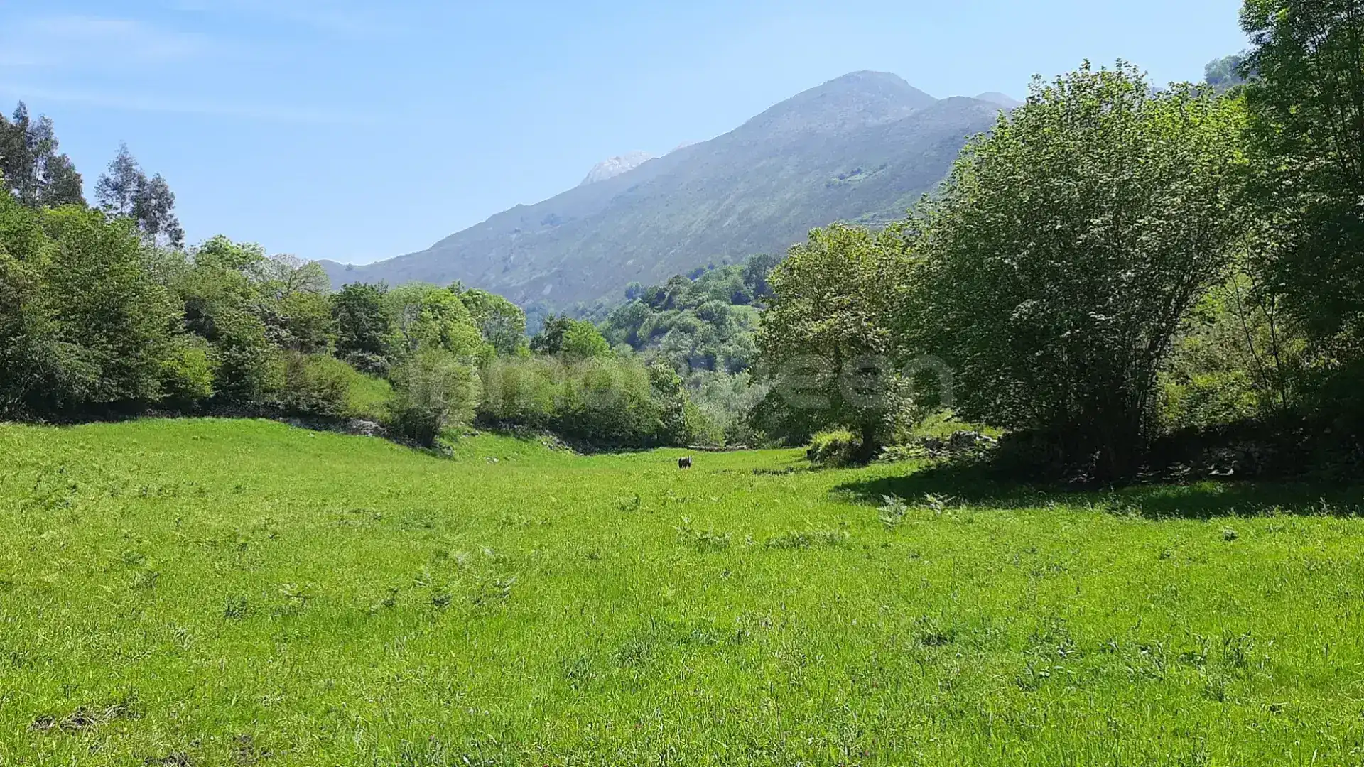 Terreno rustico in vendita a N/A, imagen 3
