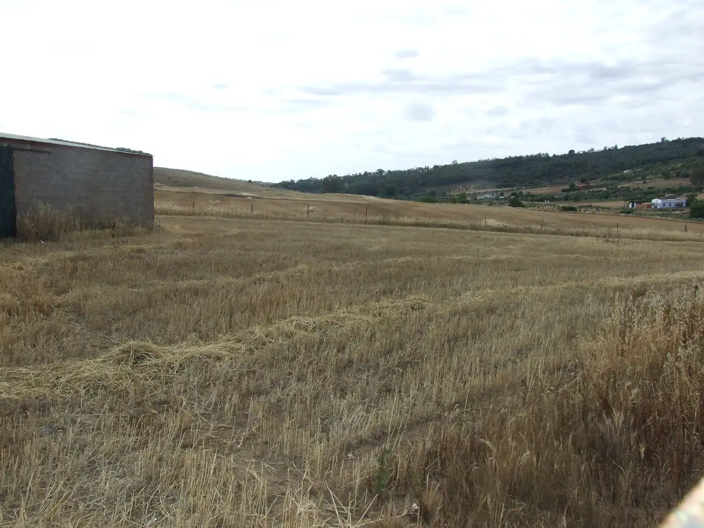 Terreni e lotti in vendita a Zafra, imagen 2