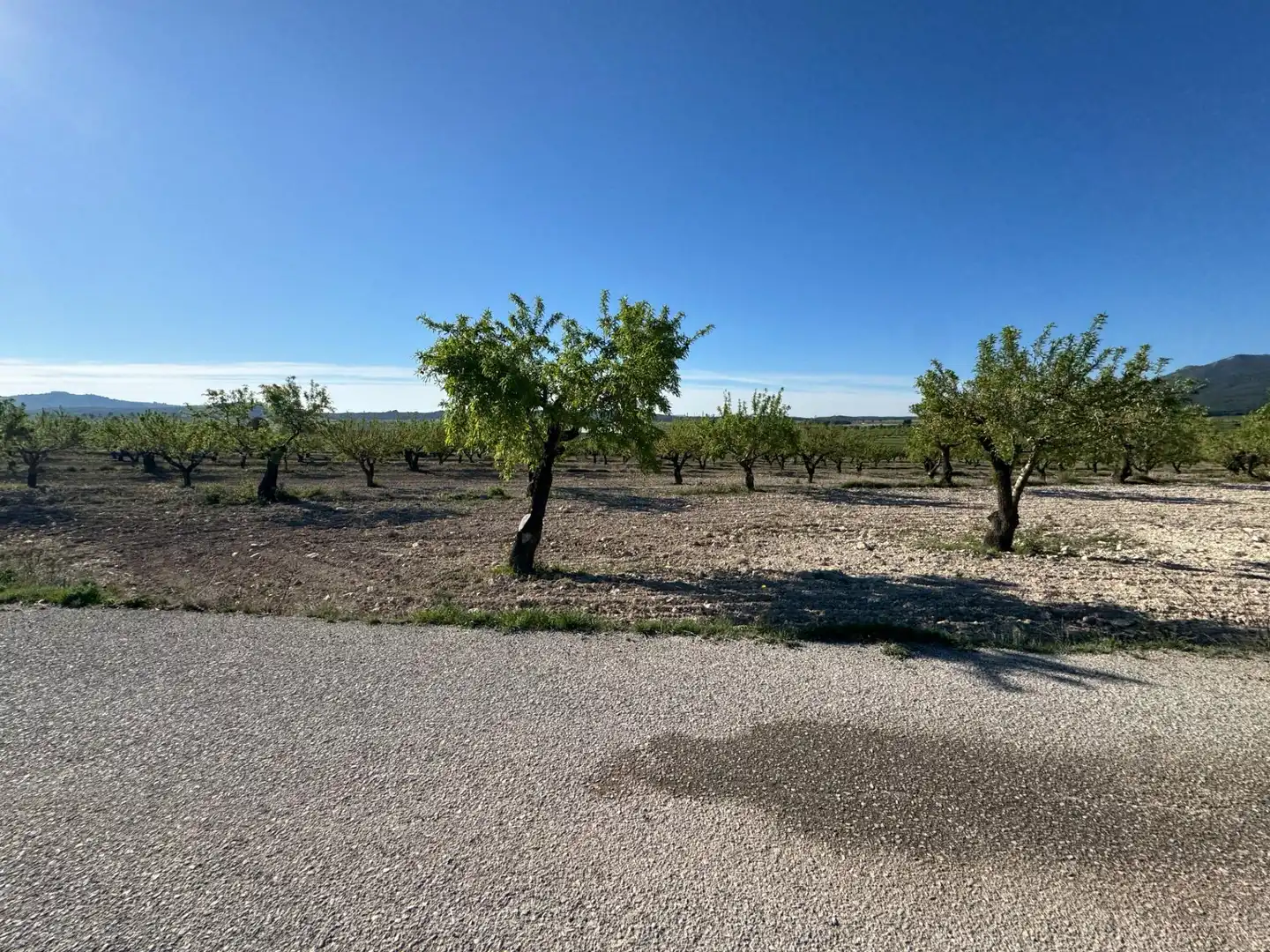 Casa con jardín en venta en Moratalla, imagen 20
