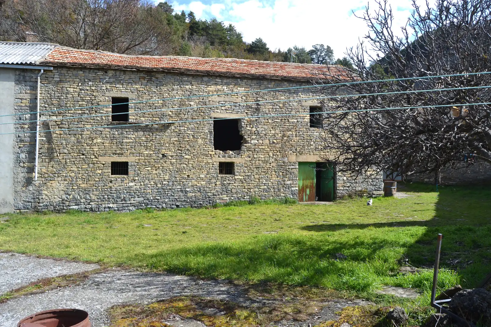 Exterior view of Country homes for sale in Biescas  with Private garden