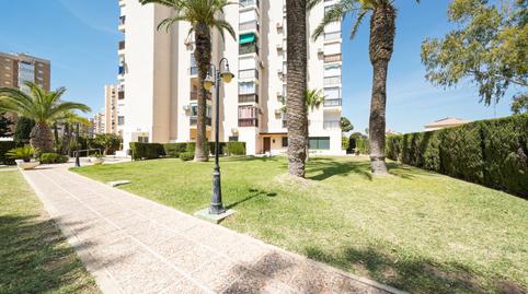 Foto 3 de Estudi de lloguer a Campoamor, Orihuela