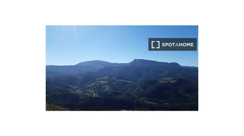 Foto 5 de Habitación en Areatza, Bizkaia