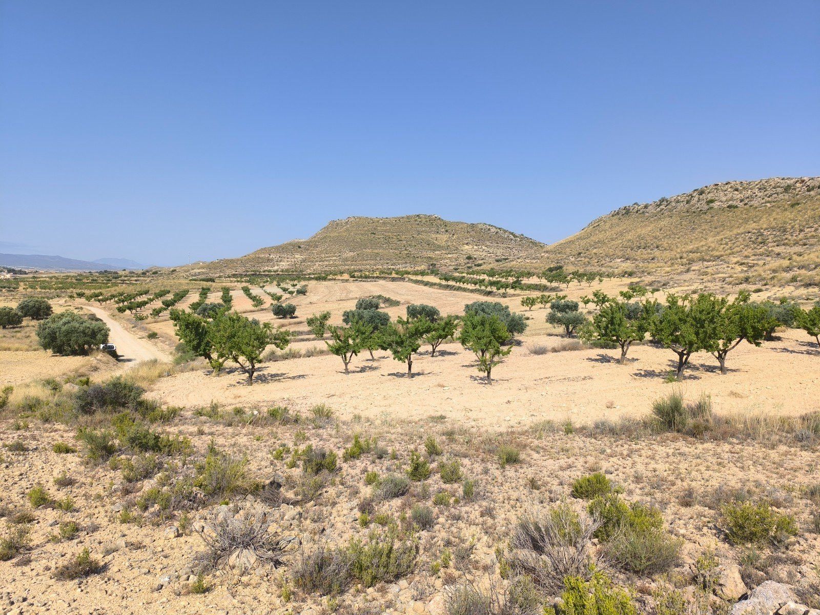 Residential for sale in El Pinós / Pinoso