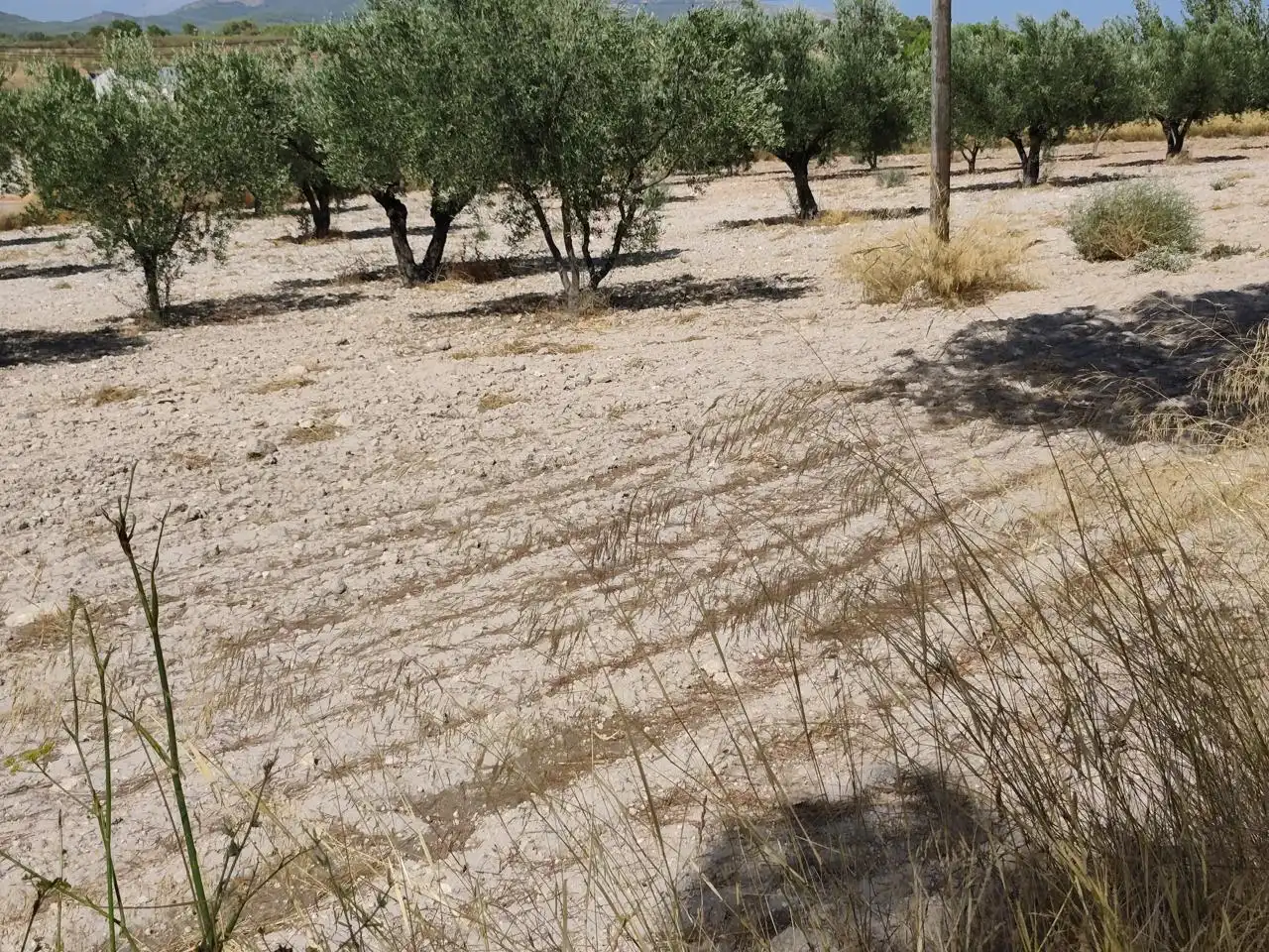 Terreno rustico in vendita a Castalla, imagen 4