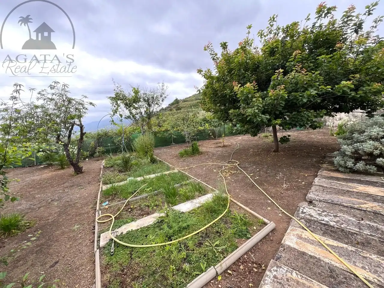 Maison rustique avec jardin à vendre à La Vega - El Amparo - Cueva del Viento, imagen 29