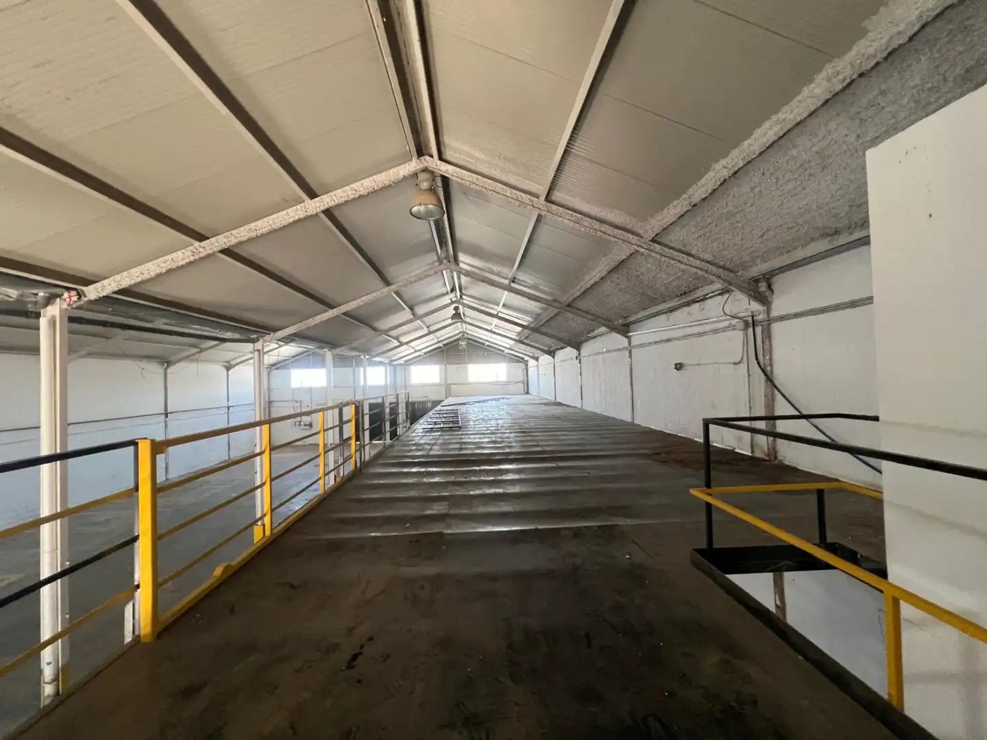 Vista exterior de Nave industrial en venta en Utrera