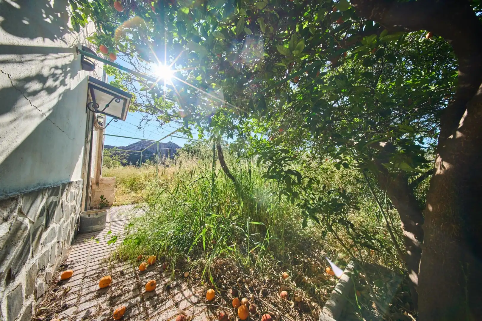 Jardín de Casa o chalet en venta en Cádiar con Jardín privado, Terraza y Trastero