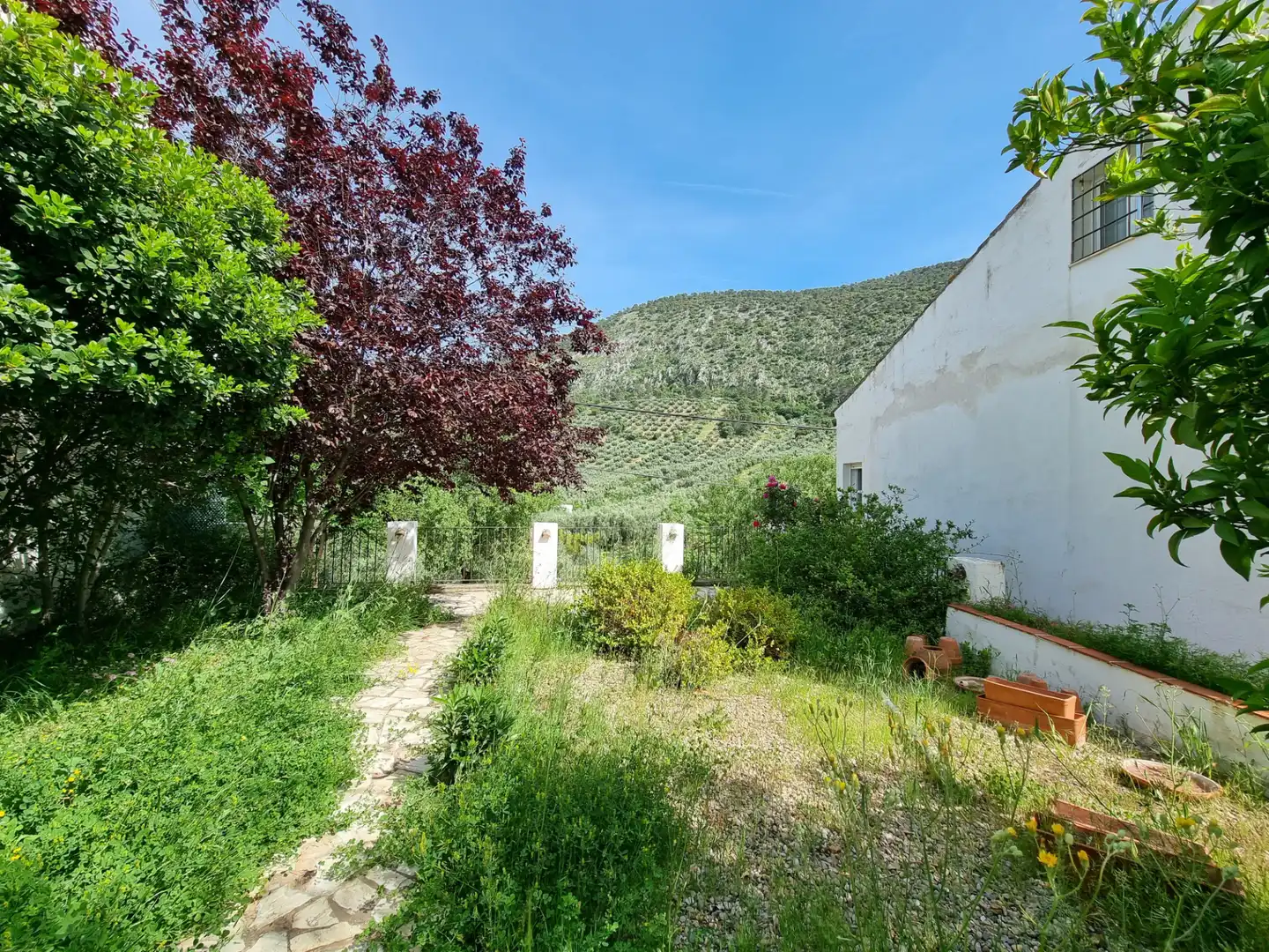 Xalet amb jardí en venda a Rute, imagen 9