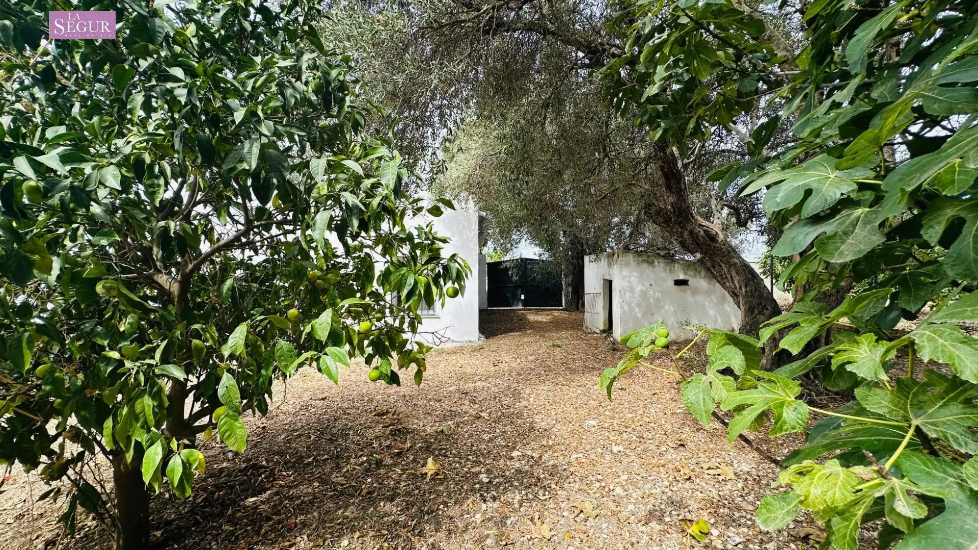 Detached house with garden for sale in Carretera de Barrio Nuevo, imagen 29