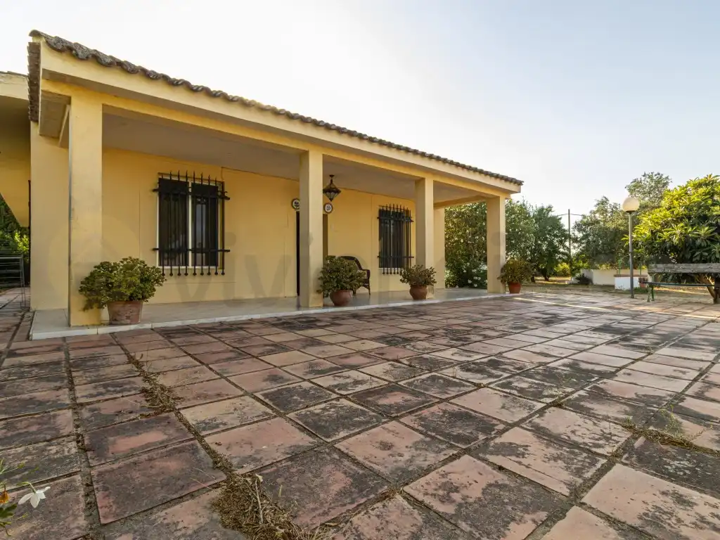 Vista exterior de Casa o chalet en venta en Jerez de la Frontera