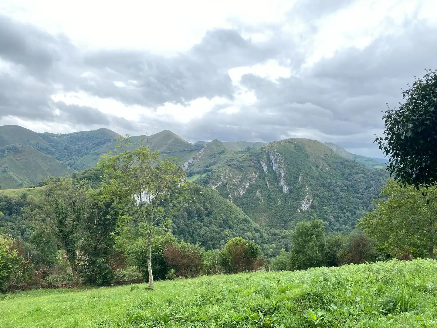 Houses for sale in Gamonedo, Cangas de Onís