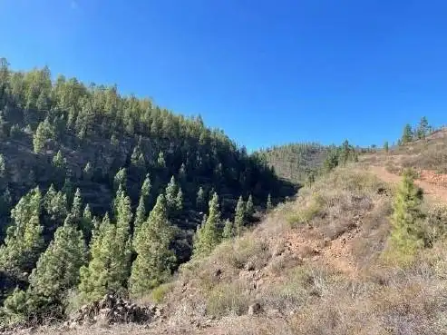 Exterior view of Land for sale in Granadilla de Abona