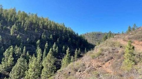 Photo 3 of Land for sale in El Médano, Santa Cruz de Tenerife