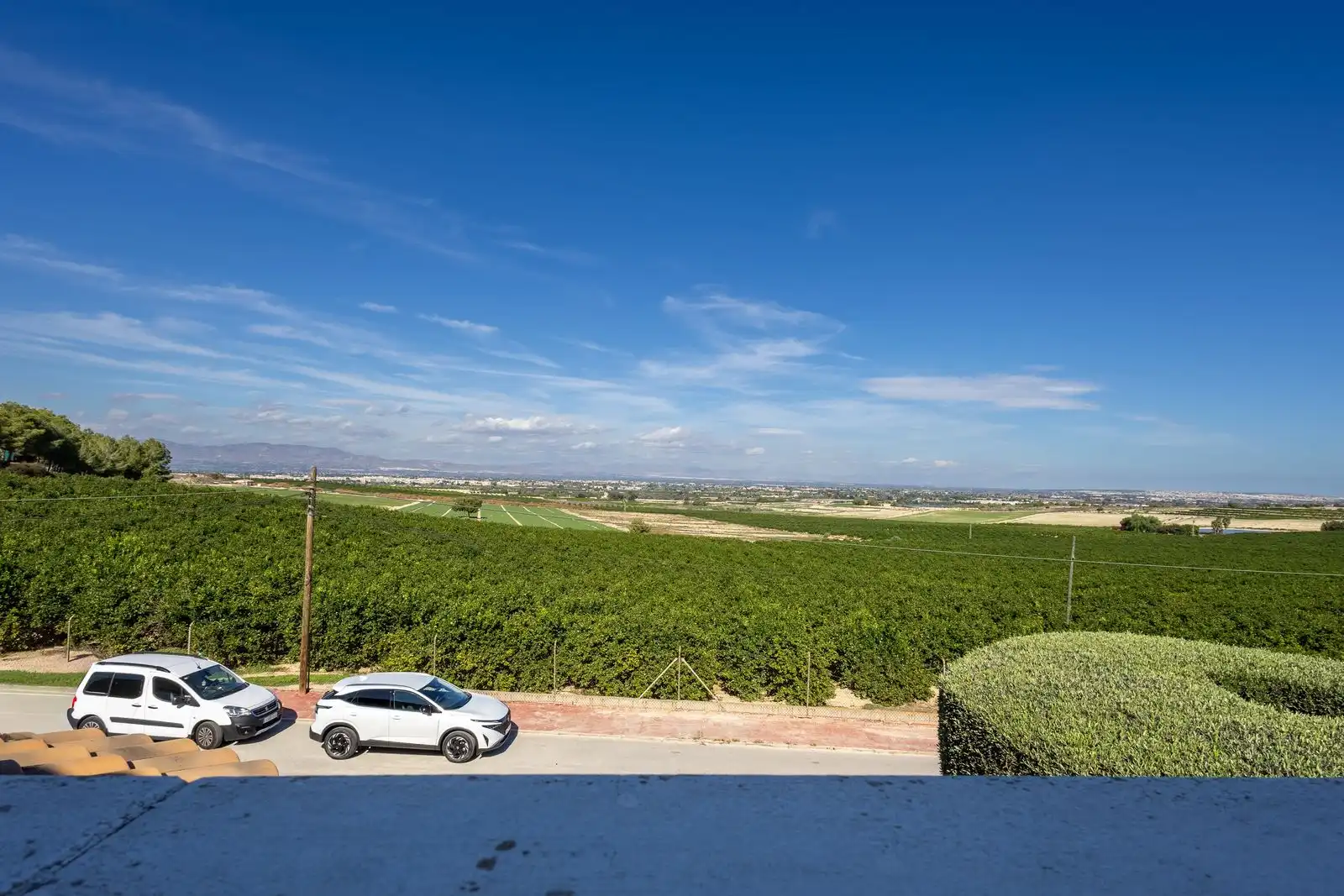 Exterior view of Houses for sale in Almoradí  with Private garden, Terrace and Swimming Pool